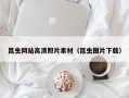 华容昆虫网站高清照片素材（昆虫图片下载）